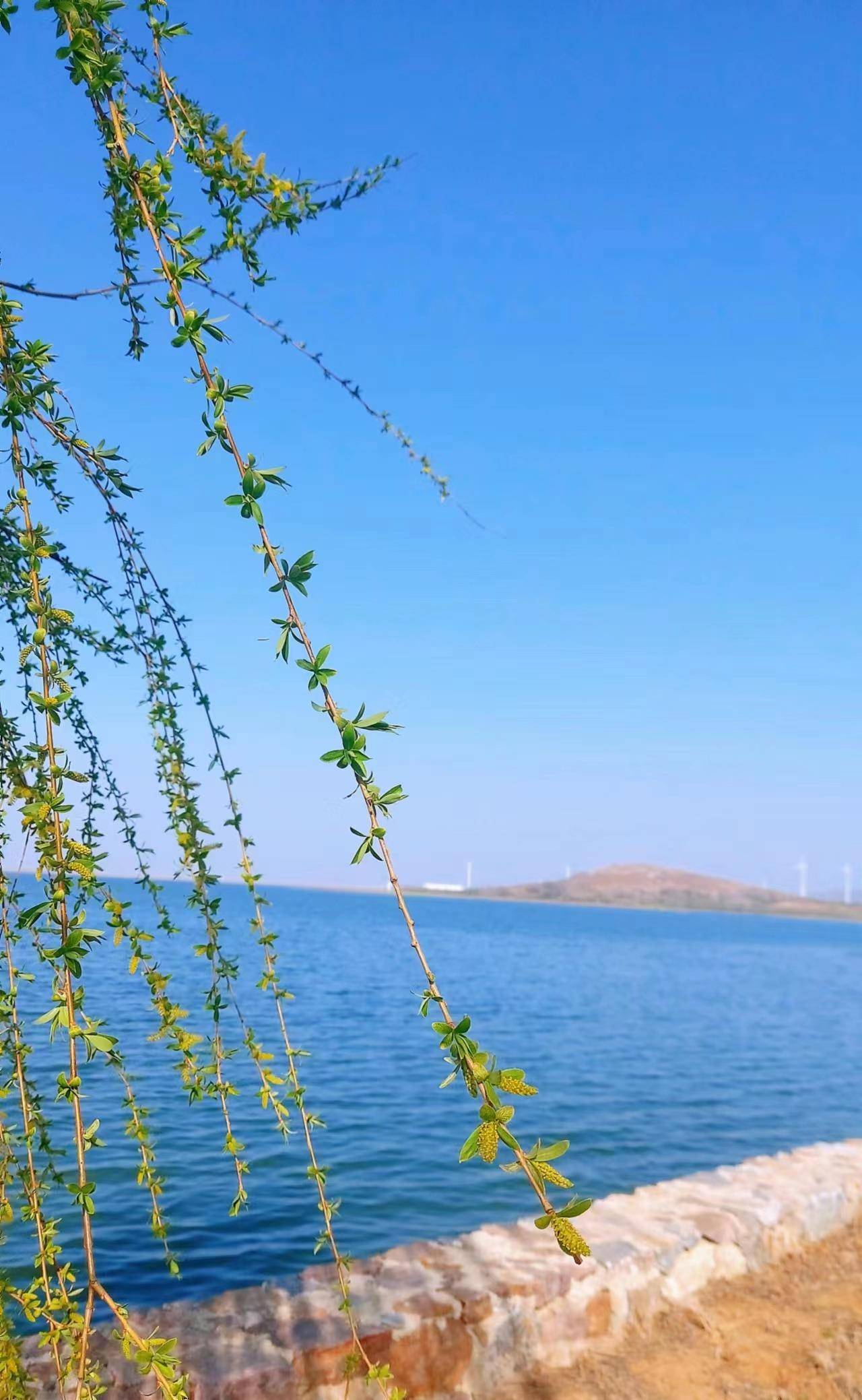 葉縣旅遊:燕山水庫,沙灘椰樹晚風,桃紅柳綠碧水_防洪_寶安_朋友