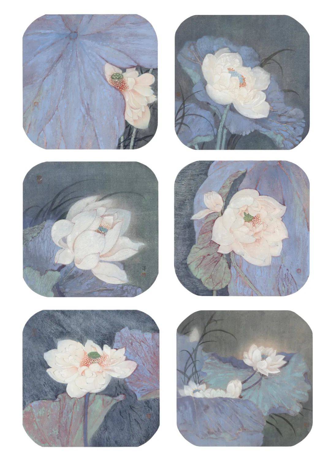 四川美院中国画与书法艺术学院 | 现代工笔花鸟画2023