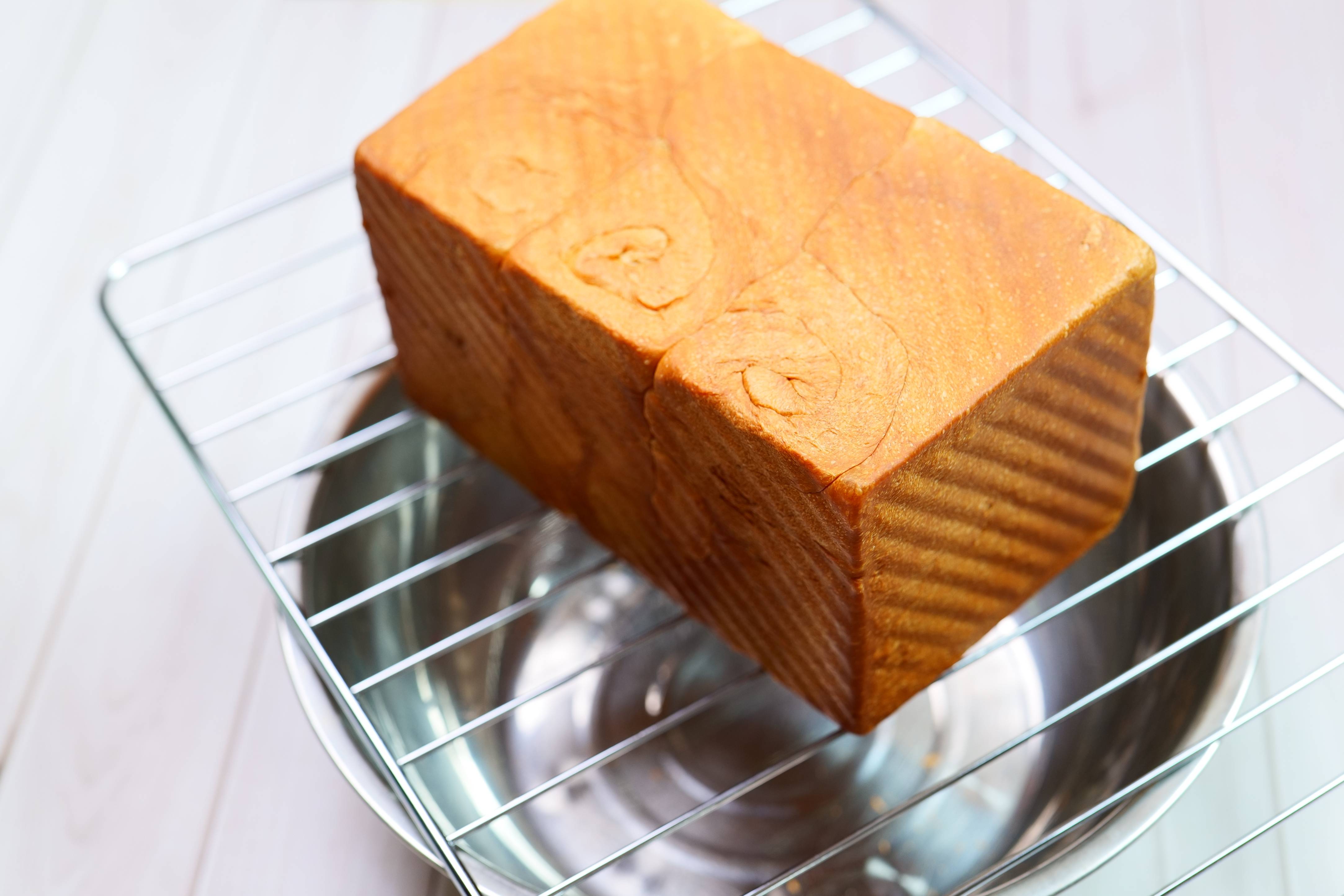 卷王｜入门烤箱也可以Pro，长帝猫小易Pro了解一下！