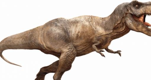 天蝎霸王龙 来自搜狐网