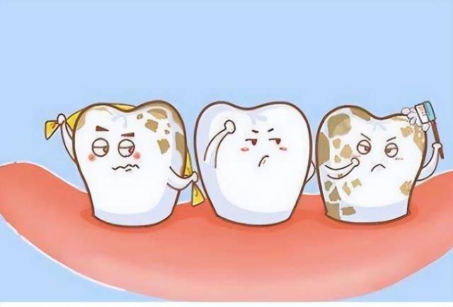 牙齿有牙菌斑怎么办,怎样有效去除牙菌斑_牙龈_作用_口腔