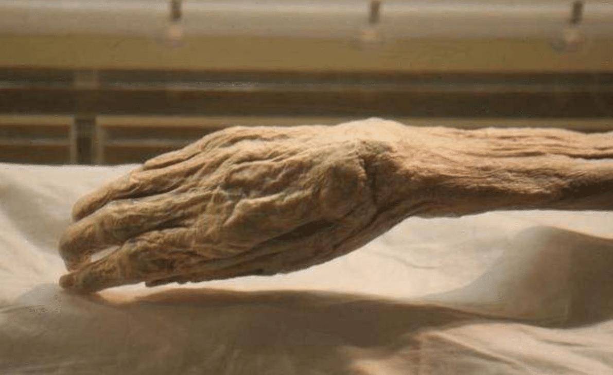 辛追沉睡2100年栩栩如生,皮肤尚有弹性,真人复原后是绝代美女_保护