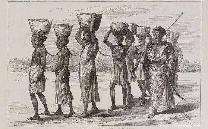 历史殖民地非洲黑奴,他们的下场有多惨?