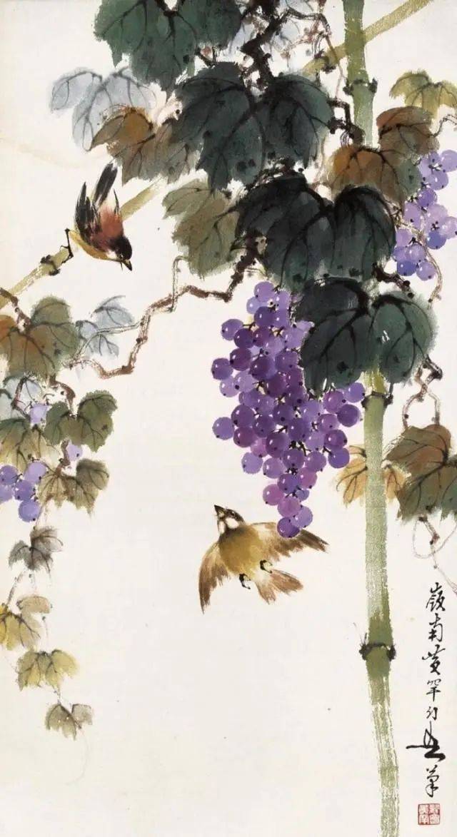 惊艳花鸟画，美得让人窒息！_搜狐网