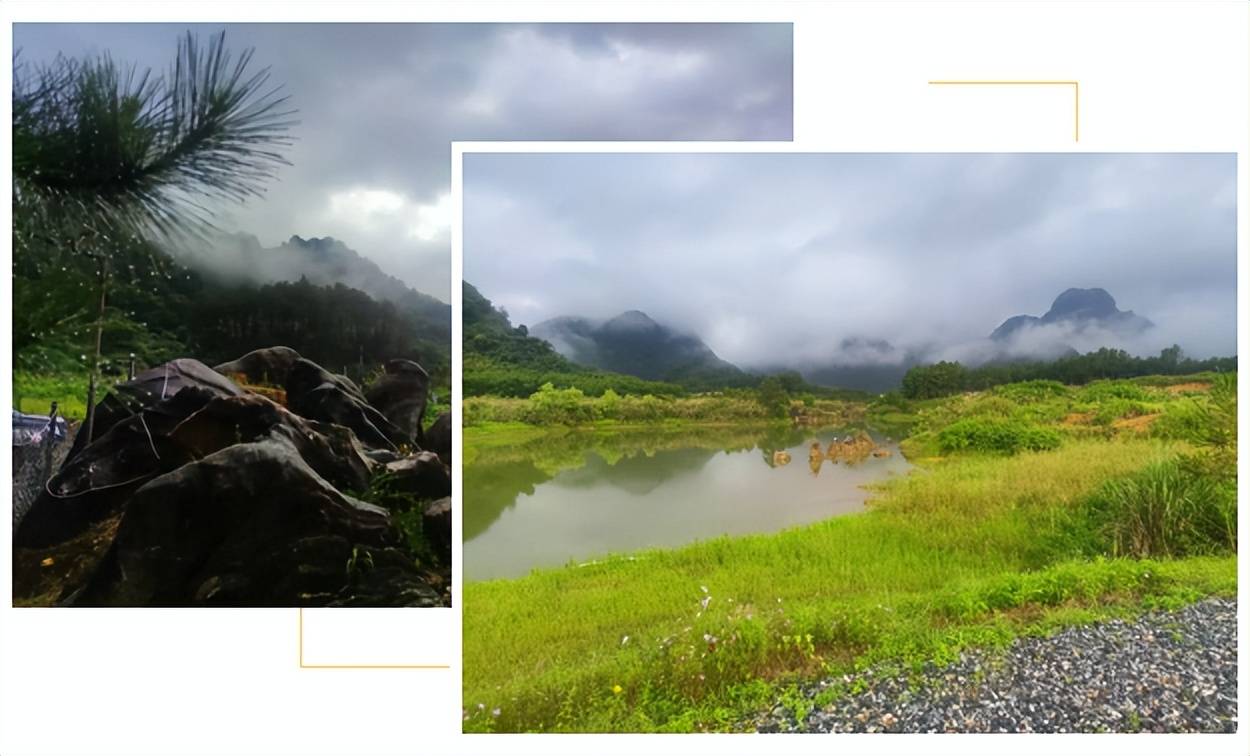 【在广东·途个乐】畅游仙湖营地，奢享雨后盛景图1