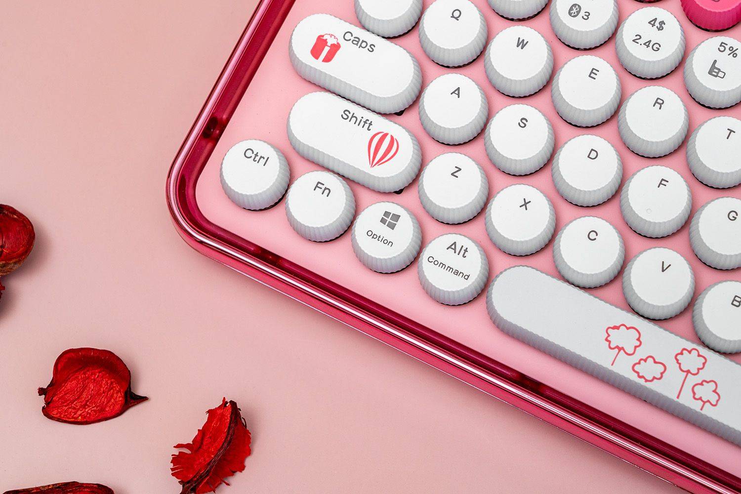 老婆过生日送了雷柏ralemo Pre 5键盘，办公室女同事都问是啥型号