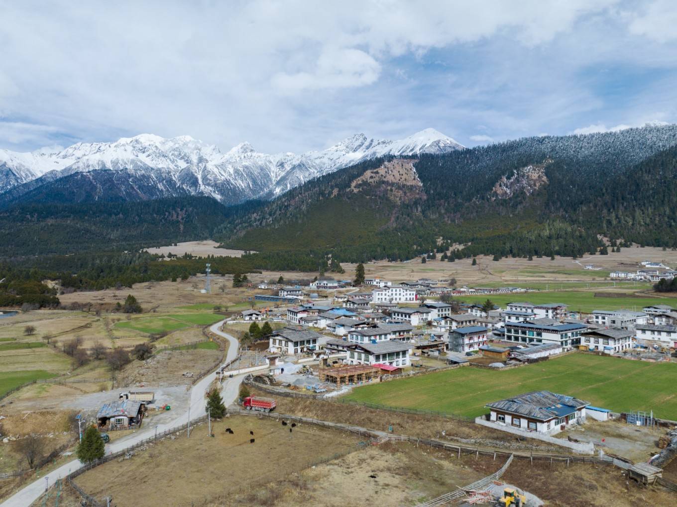 谢江,罗磊,刘韬 通麦特大桥的历史_鲁朗_景色_森林