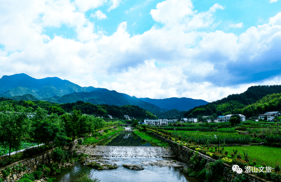 潜山水贵村:田园披绿装 荷花竞绽放_官庄镇_李宝_景象
