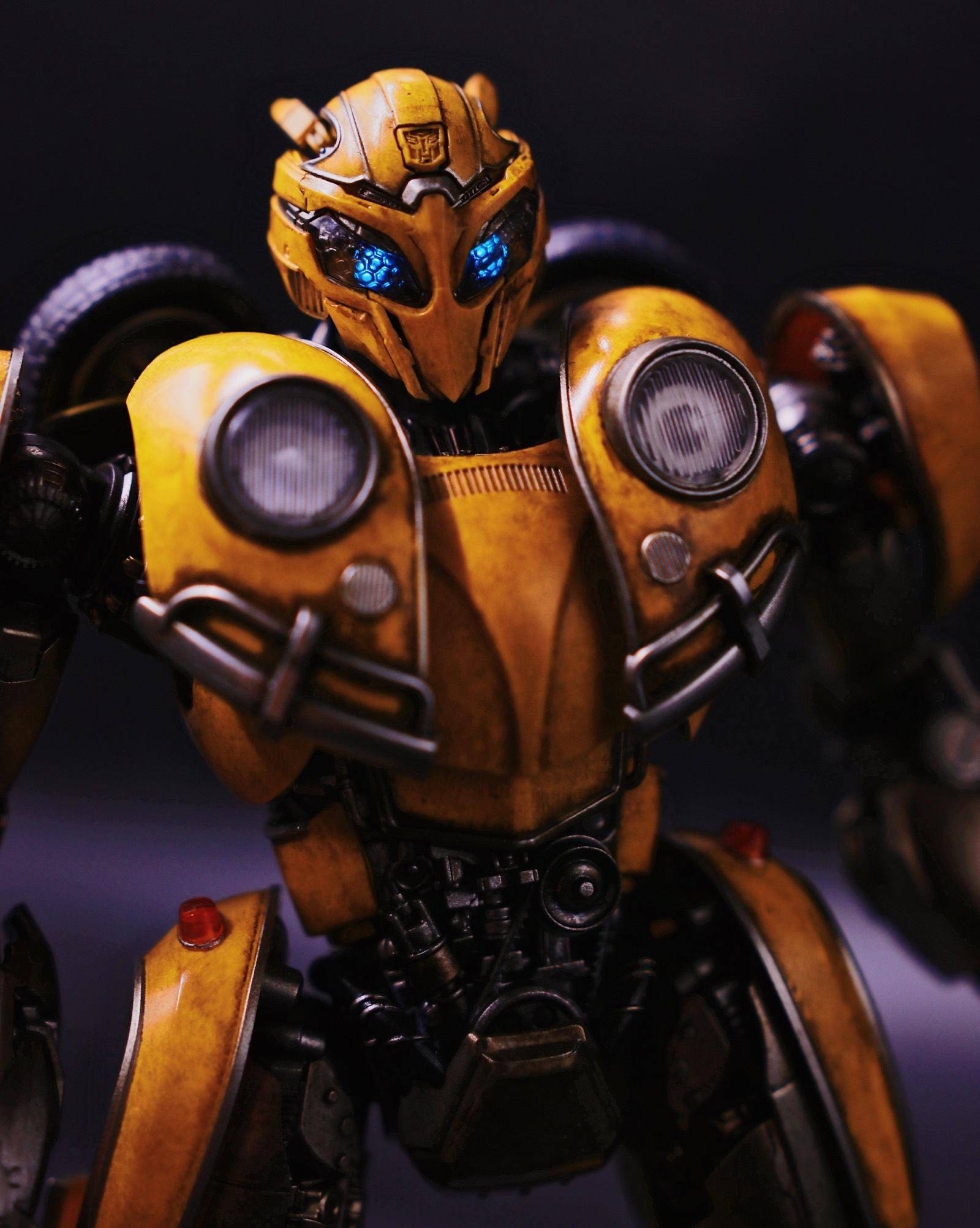 电影《大黄蜂》成功地创造了一个真实而引人入胜的世界