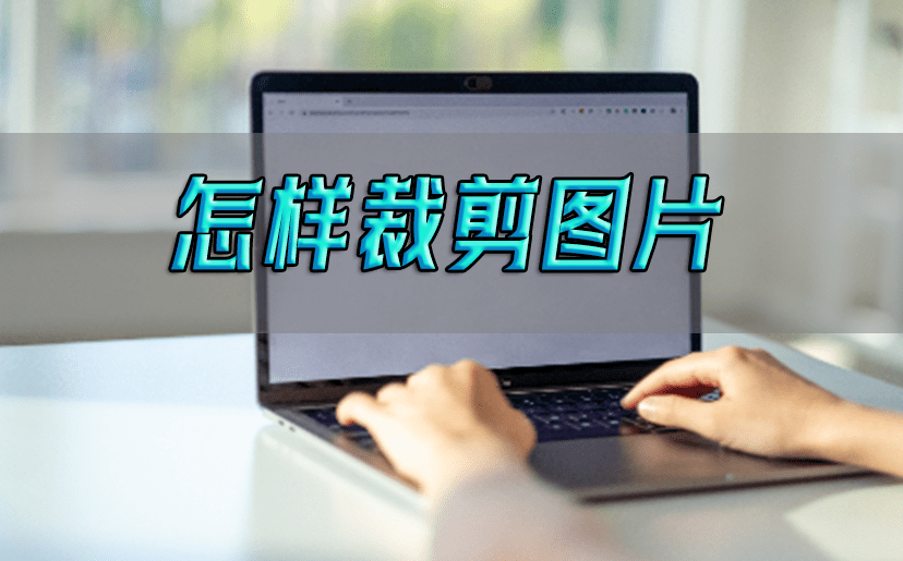 学会使用这三款专业软件创意裁剪,照片焕然一新!_工具_功能_pixlr