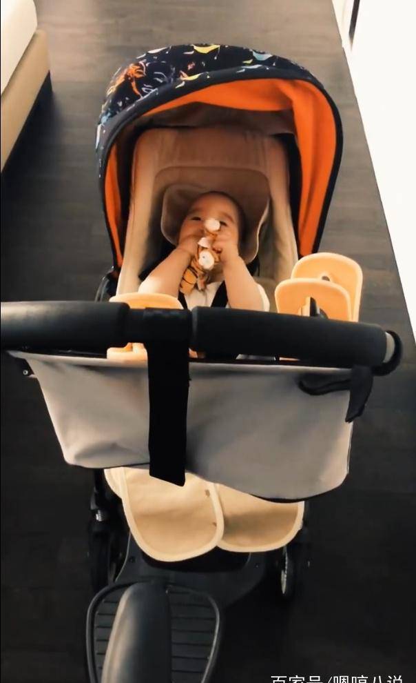 谢楠晒带娃日常,二胎儿子躺在婴儿车里玩耍,一个特点像极了吴京_孩子