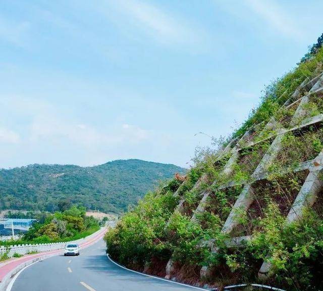 我與吳先生的東山島紀事_感覺_蘇峰山_景區