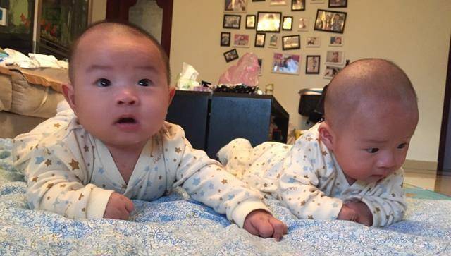 撒贝宁喜得龙凤胎,明星总生双胞胎,尝试这么做你也可以一次抱俩_方法