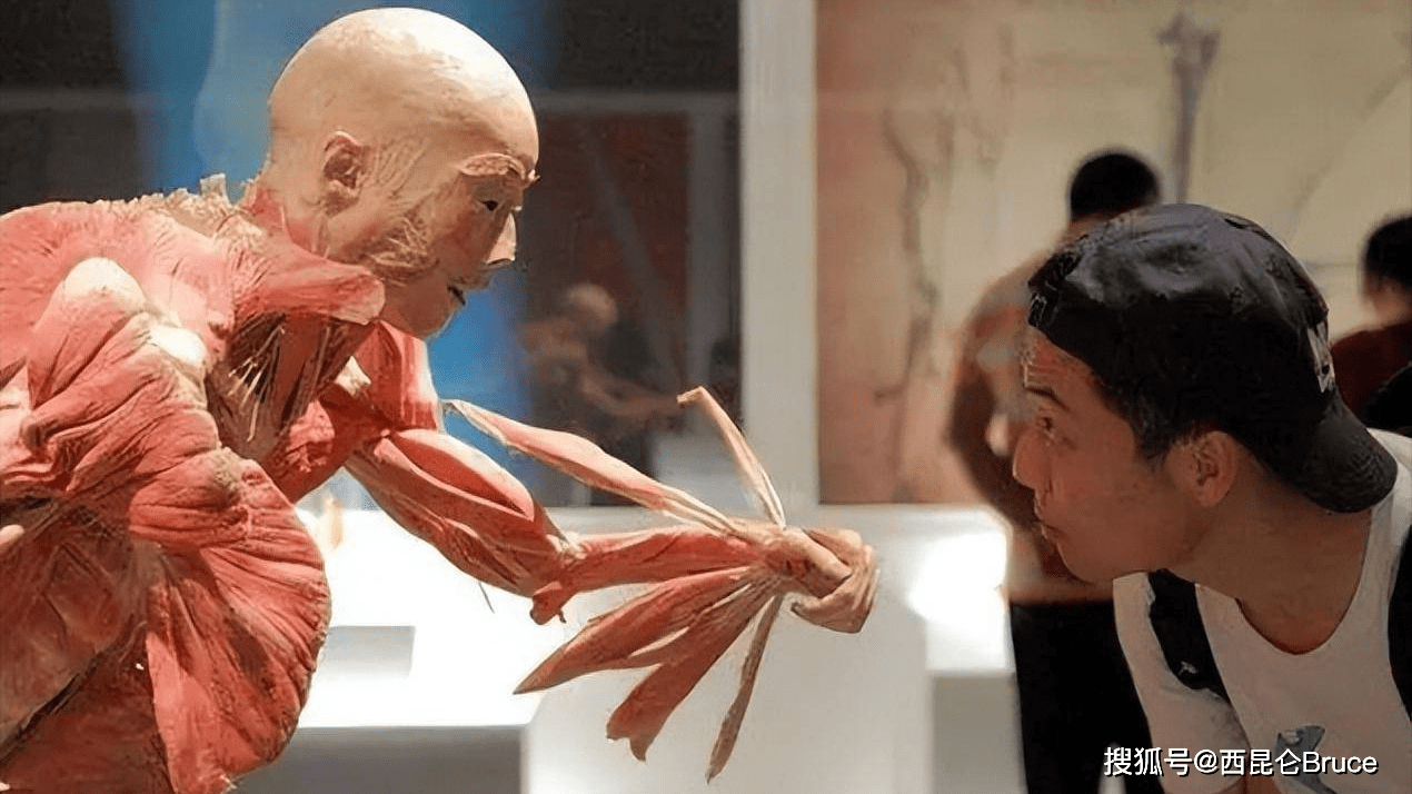 英国将首推水葬,用沸水煮遗体4小时:比火葬更环保_方式_过程_办法