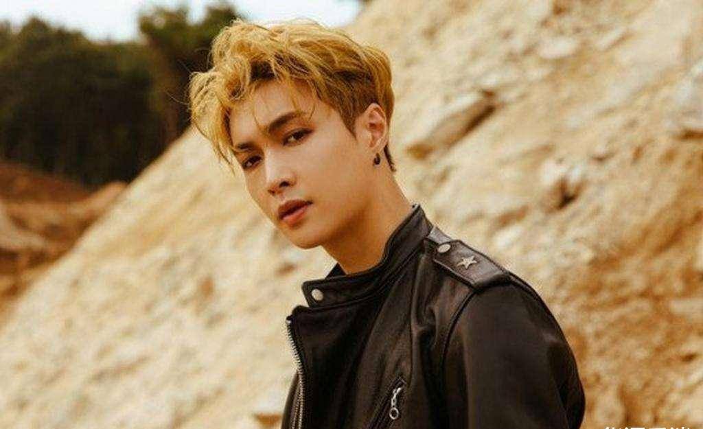 成为每个当红歌手没有出圈作品的体面措词_华晨宇_音乐_张艺兴