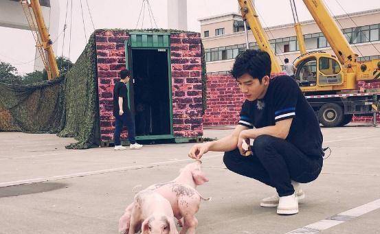 胡歌的乌龟,刘亦菲的猫,论明星养宠物,我只服井柏然_爱心_照片_系列