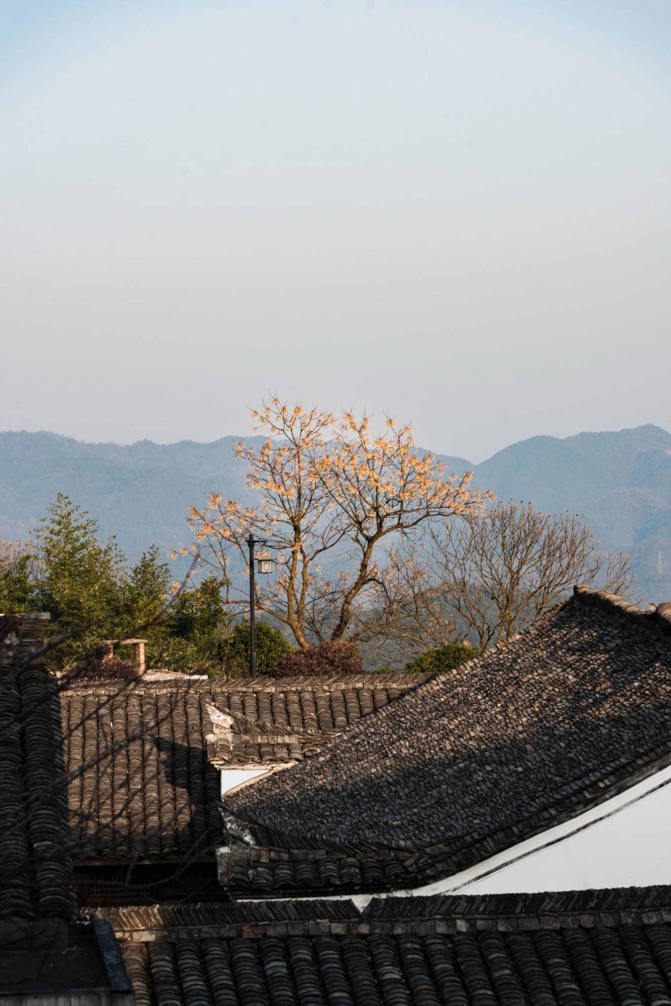 登高村是一座高山中的避世古村有着800多年历史