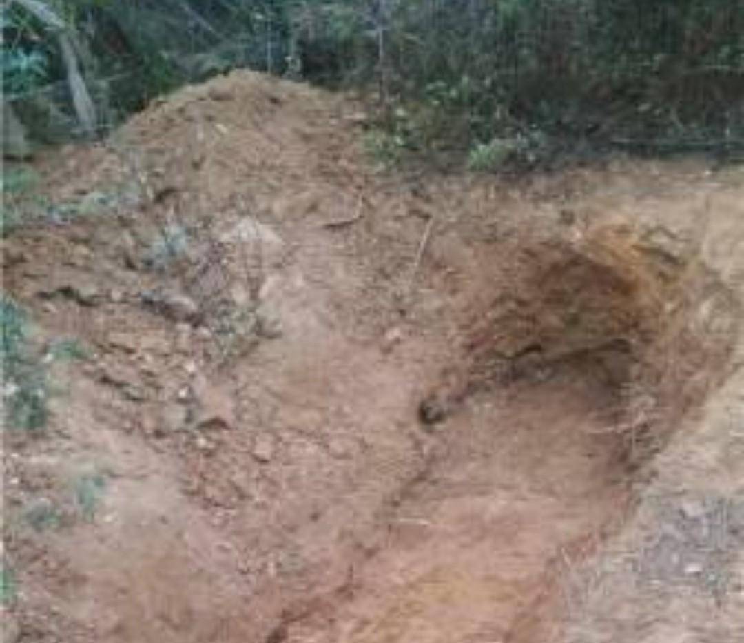 迅速杀害王勇,并将其遗体带到掩埋现场,完成挖坑,掩埋的工作