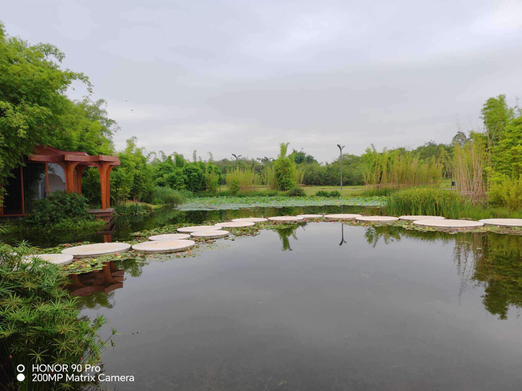 荣耀90pro:2亿像素加持,这可能是同价位拍照最好的旗舰手机_照片_相机