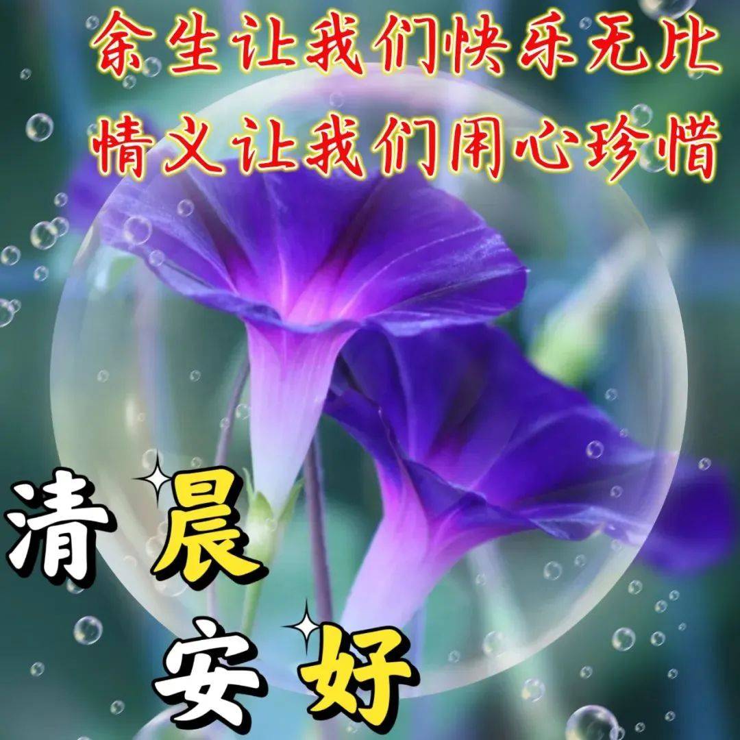 9张最新创意漂亮的早上好祝福图片带字温馨 2023唯美夏天早安问候祝福