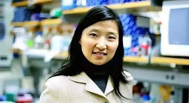 8岁自学微积分,31岁成哈佛最年轻华人教授,天才尹希为何不回国_伊希