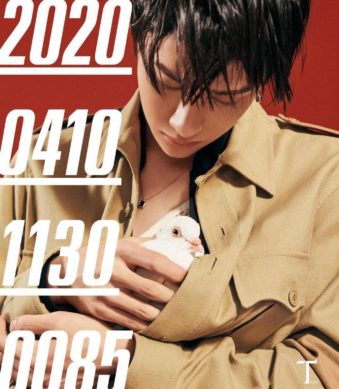 王一博新杂志"抱鸽子",满脸柔情好羡慕,网友调侃:比抱兔子还温柔_时候