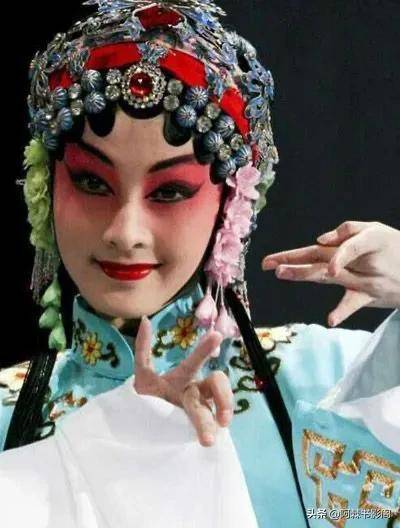 时任上海昆剧学院院长的蔡正仁选中,有意培养为第五代"杜丽娘"接班人