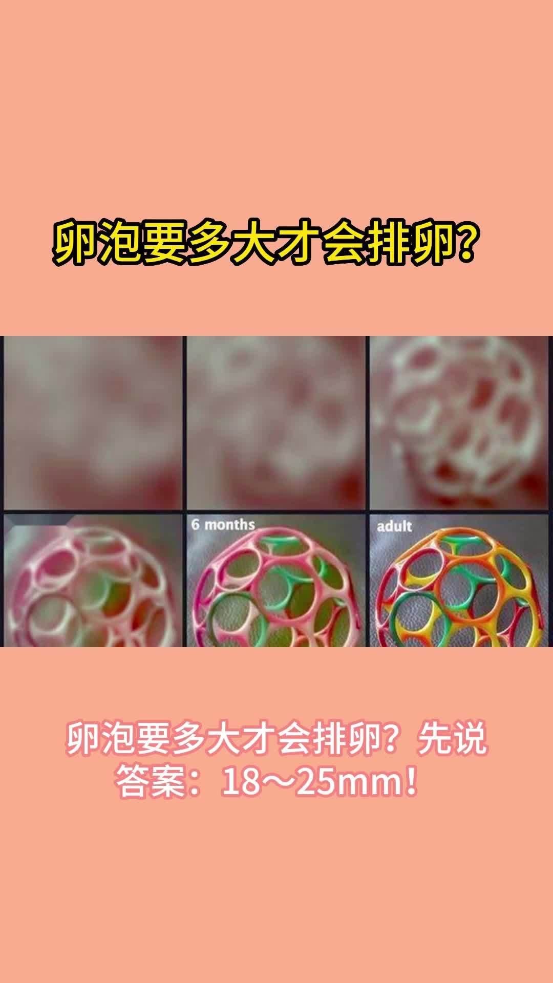 卵泡要多大才会排卵?