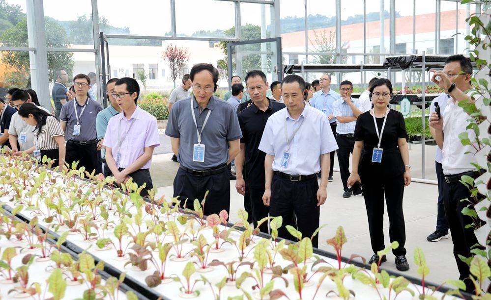 川渝两地开展创建国家食品安全示范城市集中调研活动_工作_合作_交流