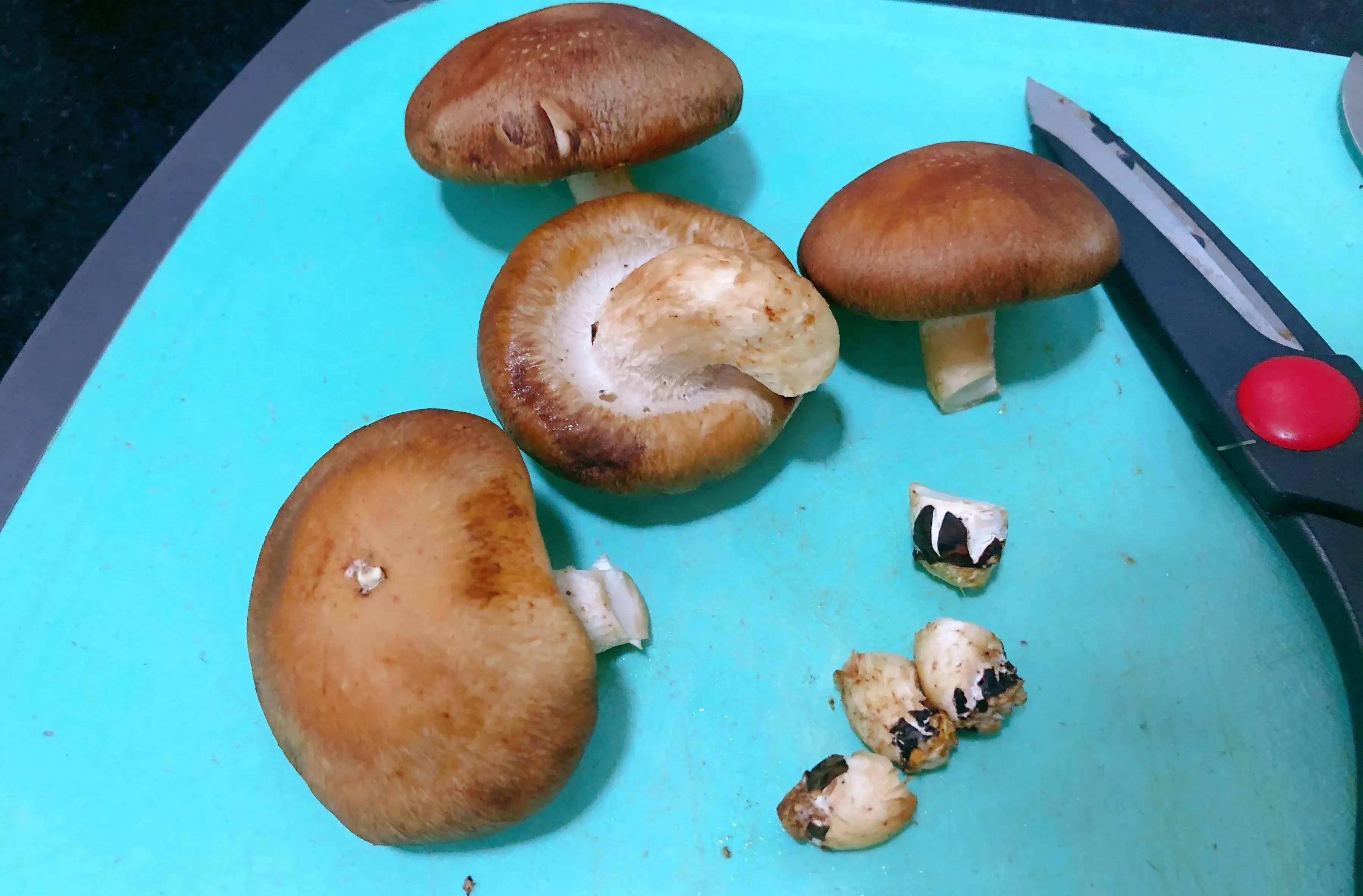 我的早餐日记:香菇玉米粉丝炖,漂亮的香菇切法_早饭_攀枝花_因为