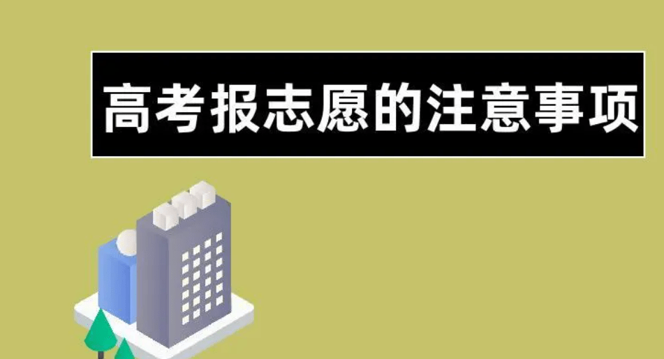 张雪峰告诉你:不同类型的学生,学校,专业要如何填报志愿_艺术_实践