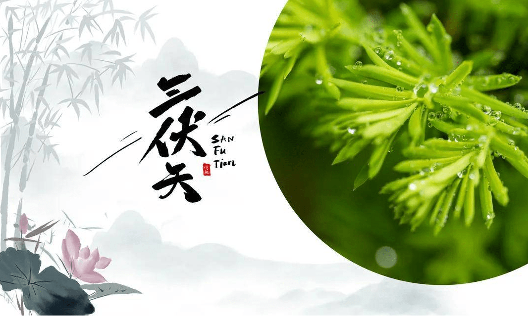 转给家人！三伏天养生6大禁忌-三伏天养生的重要性