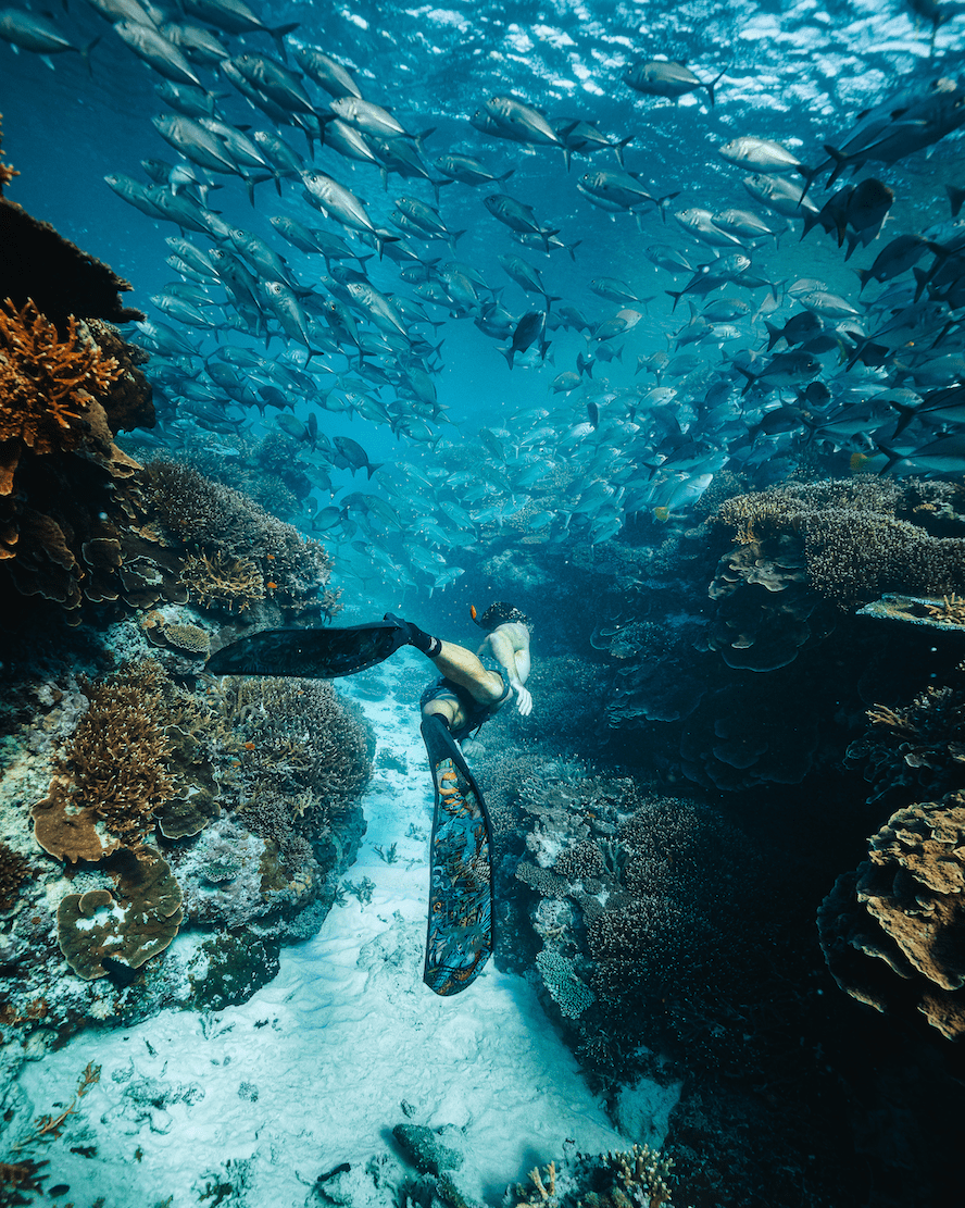 帮您玩转澳大利亚大堡礁