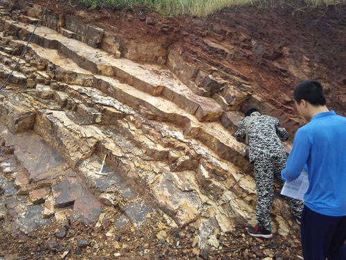 shapemetrix 3d智能化解决岩体结构面测量统计问题_面的_进行_特征