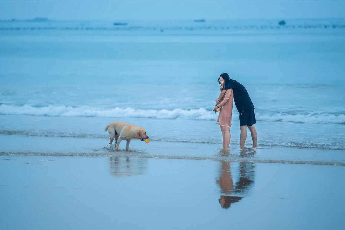 全球最安全的国家排名：第一名曾宣布破产，中美皆在80名开外_搜狐网
