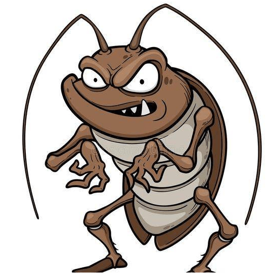 九成人不知道蟑螂的"天敌"是谁,教你1招,蟑螂端一窝!