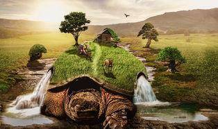 世间生物有灵_生灵包括动物吗_生物有灵性