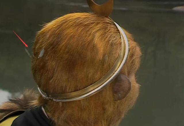 孙悟空的三根救命毫毛,是观音菩萨所赐,为何毫毛很硬呢?