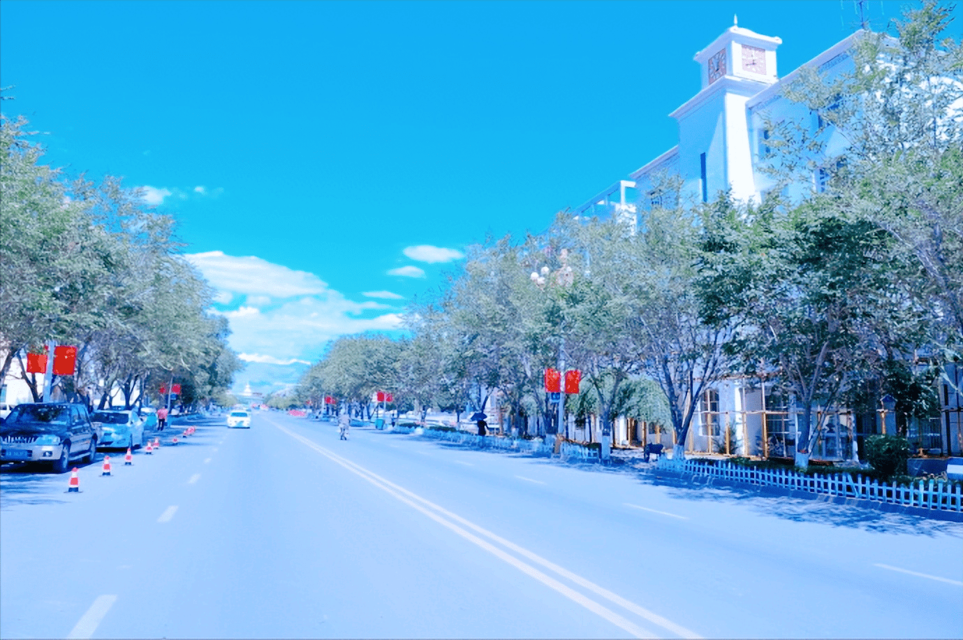 我们期待白杨市未来的发展能像那棵茁壮成长的白杨树一样越来越"粗壮"