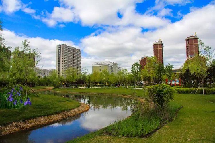 齐齐哈尔讷河市城内学校选调教师117人公告_初中_工作_年龄