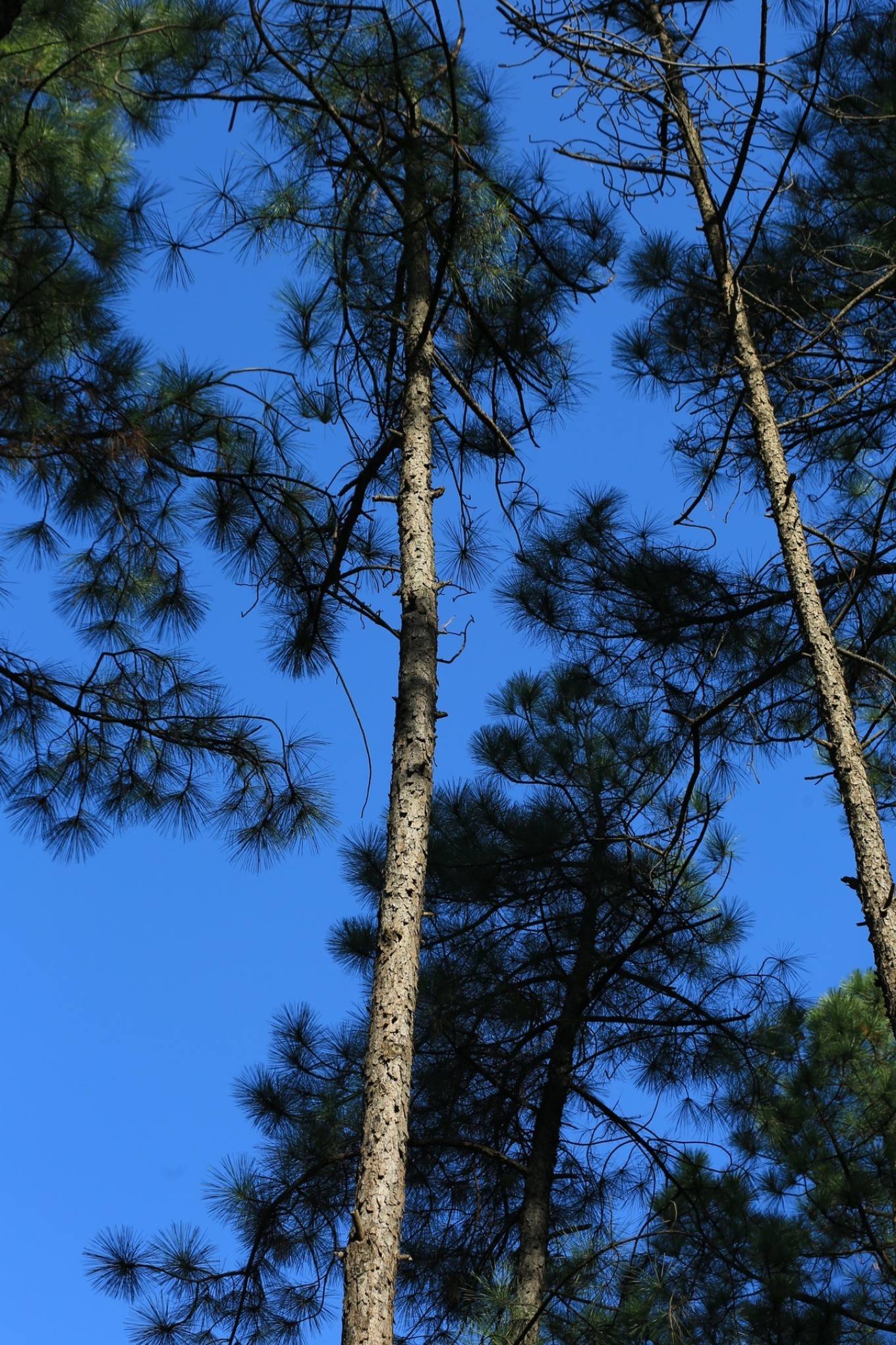 飞驰人生许凯 长乐林场