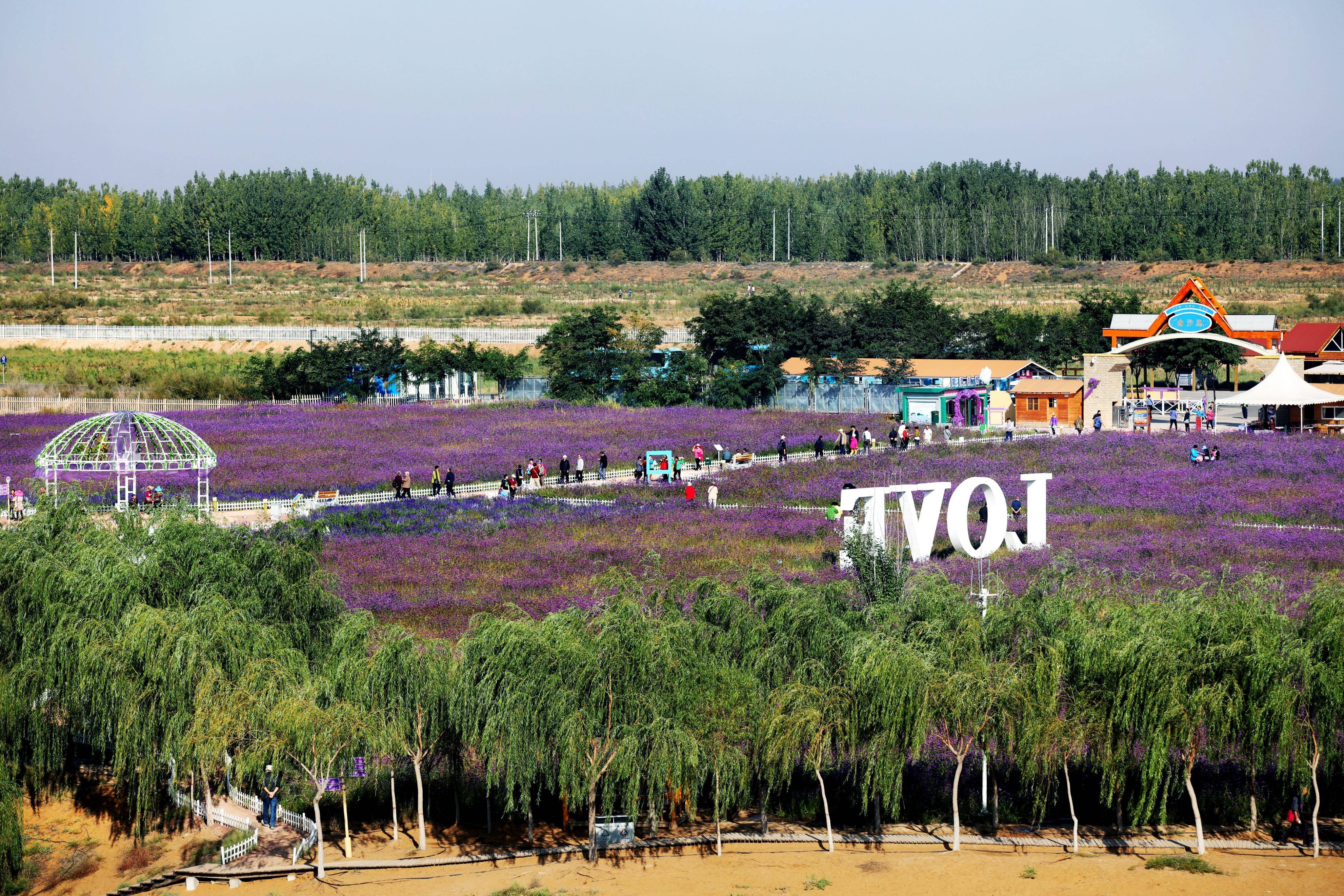 中卫十大旅游景点图片