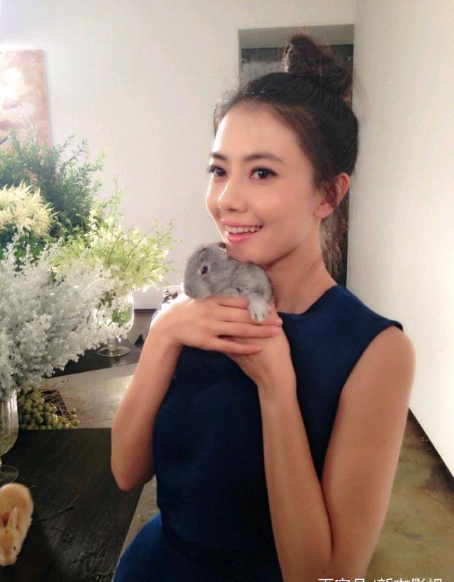 高圆圆孕肚照曝光!婴儿车颜色引猜疑,莫非怀的是小公主?
