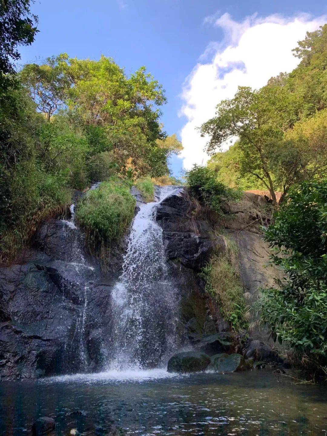莲塘村_荷花_美食