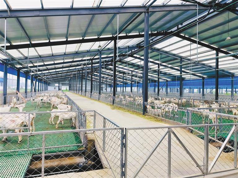 日,西安百跃羊乳集团有限公司检验人员对产品进行出厂检验本报记者