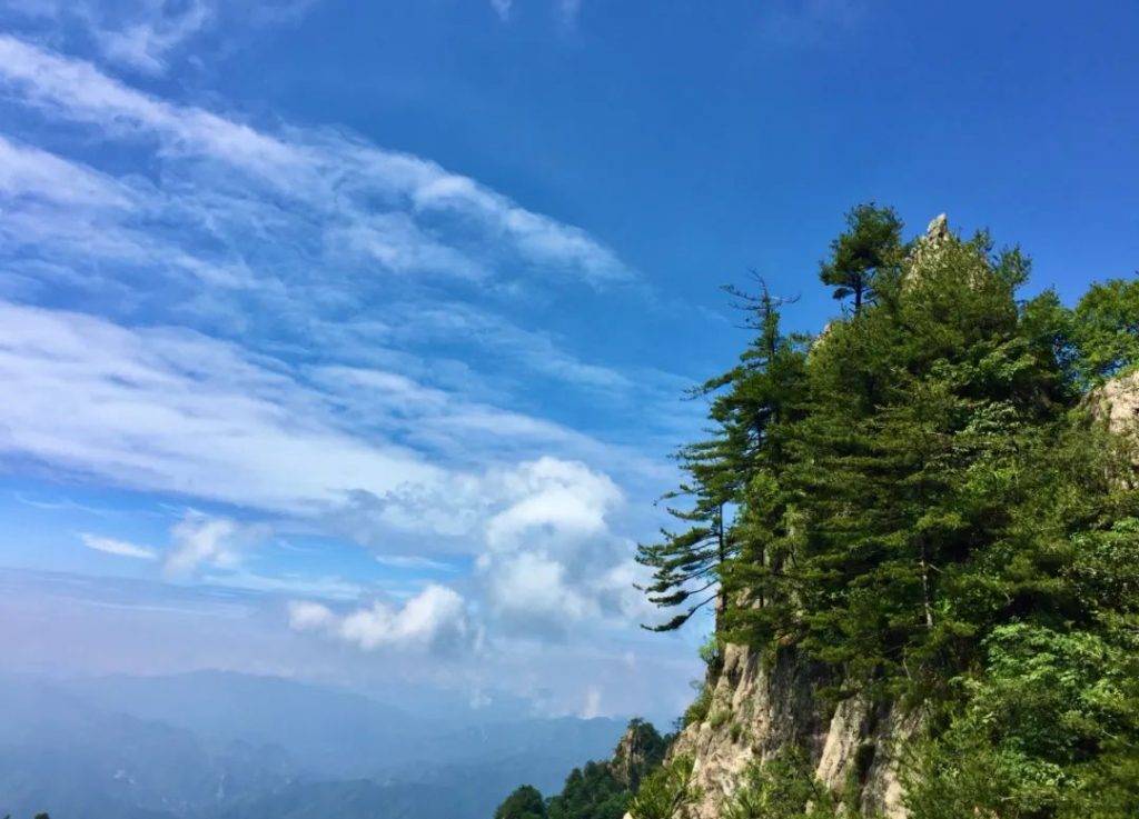 来，看看你拍的老君山云朵-老君山楼梯