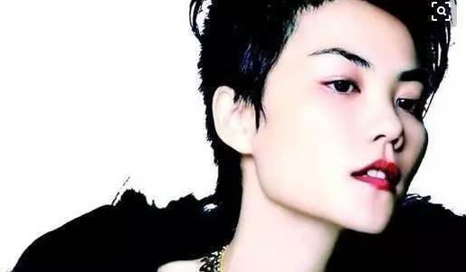 天后王菲到底有多任性?看她的微博个人简介就暴露了一切!