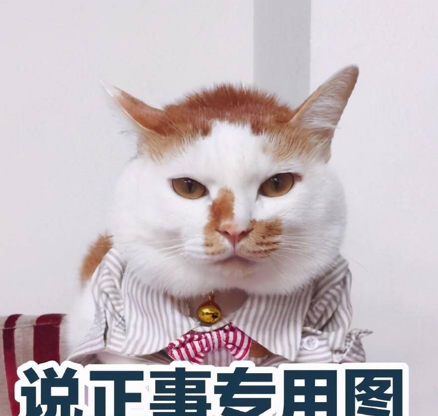 孙俪晒温馨照庆祝结婚十周年,网友们:你们一定要幸福