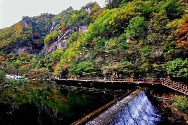 天河大峽谷旅遊度假區地處河南省洛陽市欒川縣叫河鎮_景區_植物_伏牛