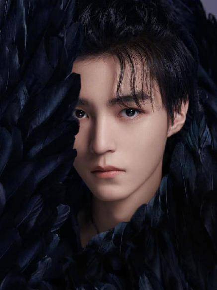 于正又来碰瓷?直言tfboys黑羽毛造型抄袭,人不红倒是挺爱蹭!